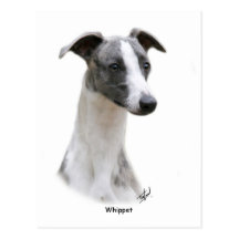 Whippet 9Y205D-231 Post Cards