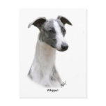Whippet 9Y205D-231 postcards