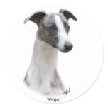 Whippet 9Y205D-231 stickers