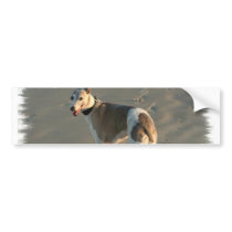 Whippet Bumper Sticker