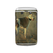 Whippet Dog Blackberry Bold Case
