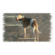 Whippet Dog Business Card