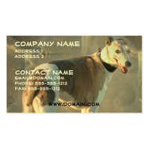 Whippet Dog Business Card