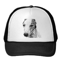 Whippet dog hats