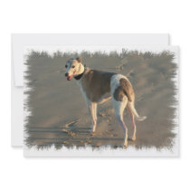 Whippet Dog Invitation