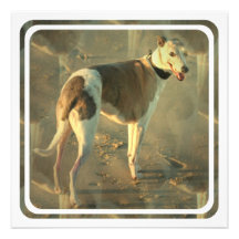 Whippet Dog Invitation
