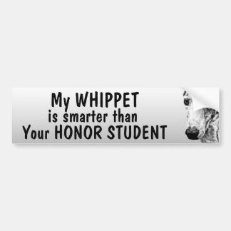 Whippet dog is smarter than honour student - funny bumper sticker