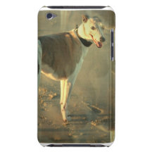 Whippet Dog iTouch Case iPod Case-Mate Case