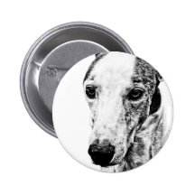 Whippet dog pinback button