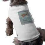 Whippet pet clothing