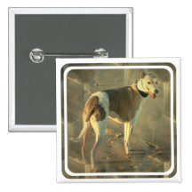 Whippet Dog Square Pin