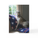 Whippet "Missing You" Greeting Card