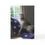 Whippet "Missing You" Greeting Card