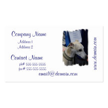 Whippet Puppy Business Cards