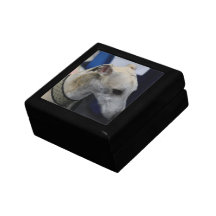 Whippet Puppy Gift Box