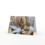 Whippet puppy notecard