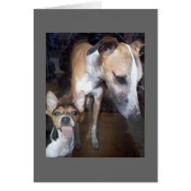 Whippet Rat Terrier card