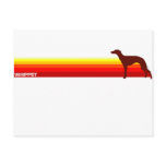 Whippet With Stripes Postcard