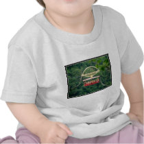 Whirlpool Aero Car: Niagara Falls T-shirt
