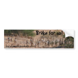 Whiskers Bumper Sticker bumper stickers