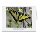 Whisper butterfly cards