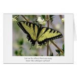 Whisper butterfly cards