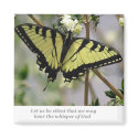 Whisper Butterfly magnets