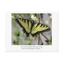 Whisper Butterfly Post Cards