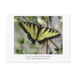 Whisper Butterfly postcards