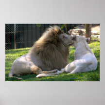 Whispering sweet nothings print