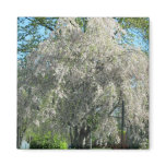 Whispering Willow magnets