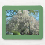 Whispering Willow mousepads