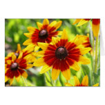 ~ Whispers of Fall ~ cards