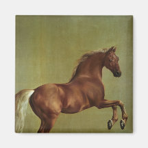 Whistlejacket, 1762 fridge magnet