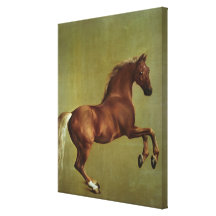 Whistlejacket, 1762 gallery wrap canvas