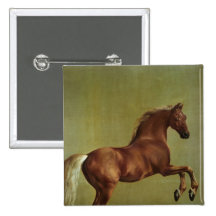 Whistlejacket, 1762 pin