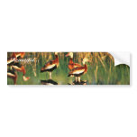 Whistling Duck bumper stickers
