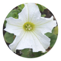 Whit Bellflower Round Stickers