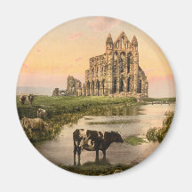 Whitby Abbey III, Whitby, Yorkshire, England Magnets