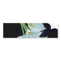 white A sheath of arum lilies flowers Bumper Stickers