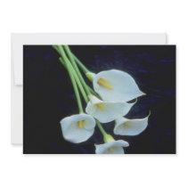 white A sheath of arum lilies flowers Announcement