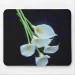 white A sheath of arum lilies flowers mousepads