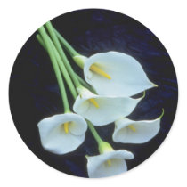 white A sheath of arum lilies flowers Sticker