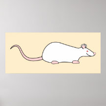 White Albino Pet Rat. Poster