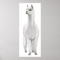 White Alpaca Print