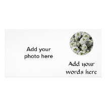 White Alyssum Customized Photo Card