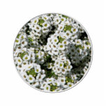 White Alyssum photo sculptures