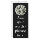 White Alyssum rack cards