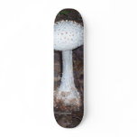 white amanita skateboards