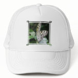 White and Black Butterfly Baseball Cap Mesh Hats